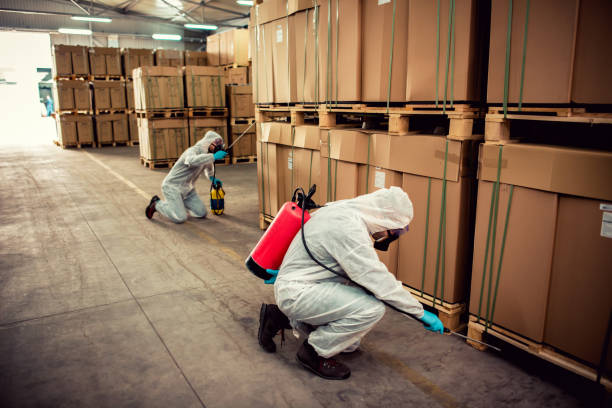 Best Local Pest Control Services  in Lake Holiday, IN