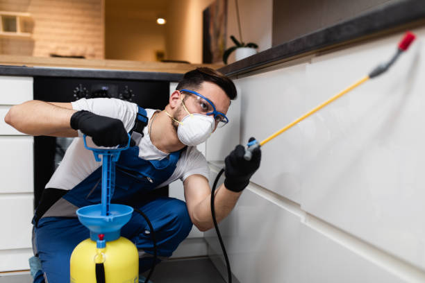 Best Mosquito Control Services  in Lake Holiday, IN