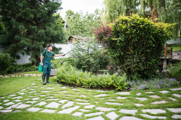 Best Exterminator Services  in Lake Holiday, IN