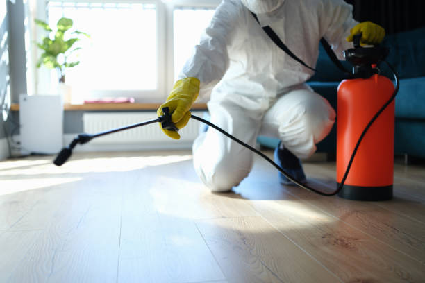 Best Flea Control Services  in Lake Holiday, IN