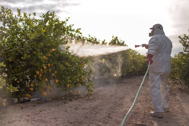Best Best Pest Control Companies  in Lake Holiday, IN