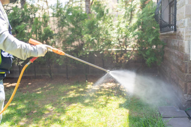 Best Pest Inspection Near Me  in Lake Holiday, IN