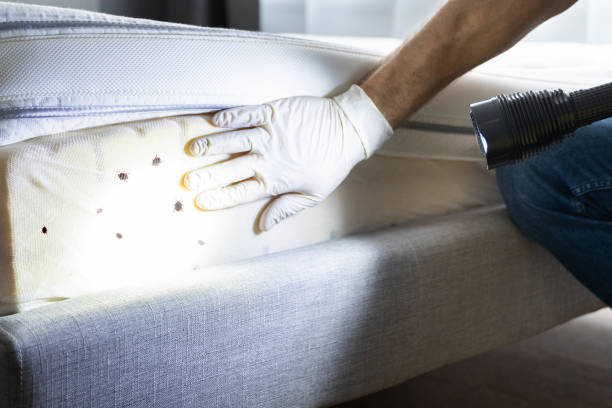 Best Pest Inspection Near Me  in Lake Holiday, IN